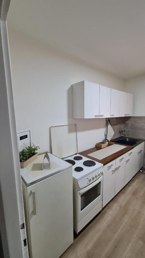 Apartman Pavlovic Leskovac  Buitenkant foto